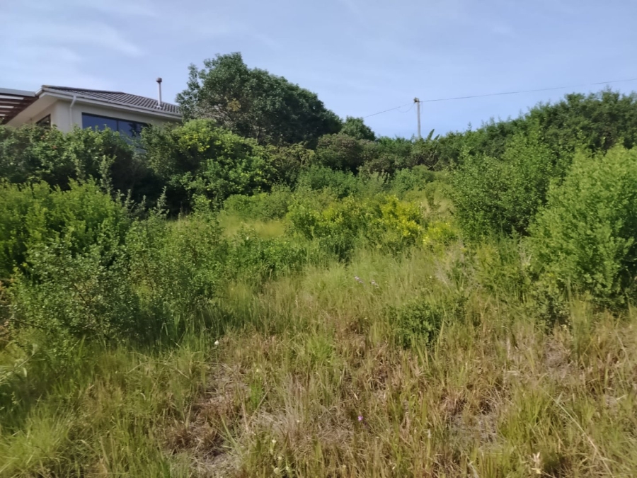 Commercial Property for Sale in Kingfisher Creek Western Cape